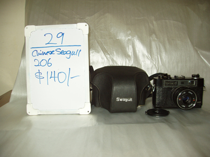 chinese seagull 206 camera with camera case - 35mm film
